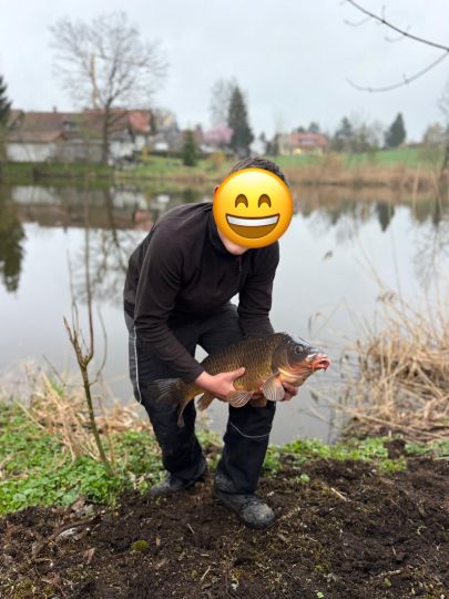 Karpfen