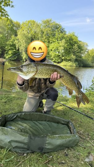 Hecht