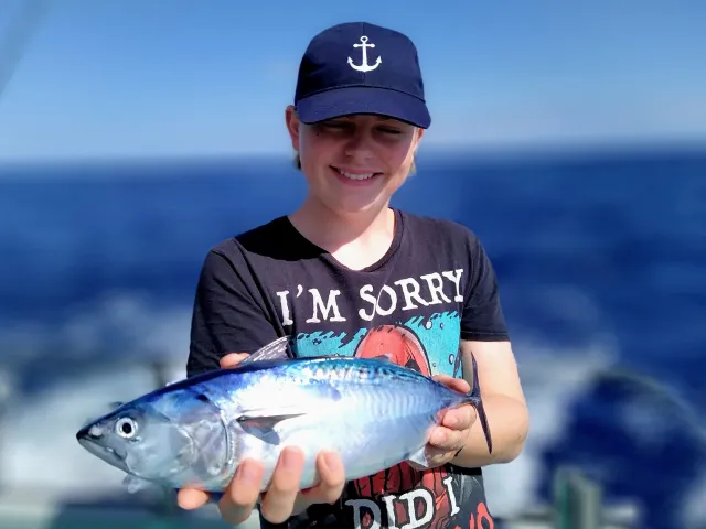 Bonito