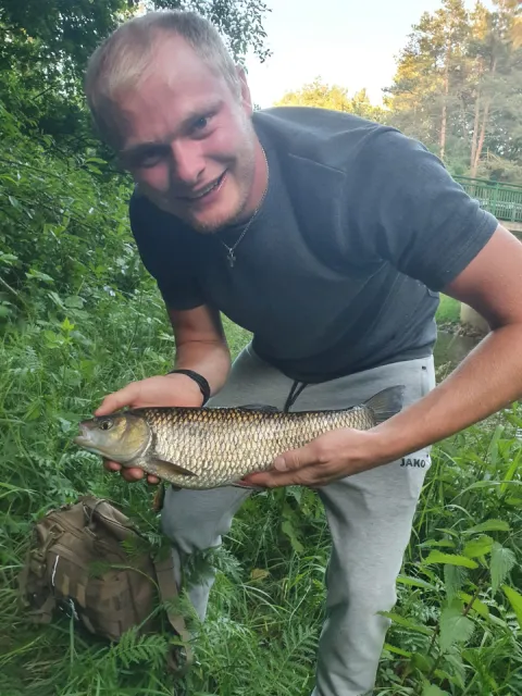 Döbel