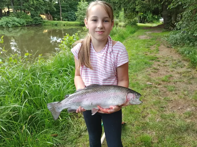 Regenbogenforelle
