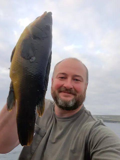 Lippfisch