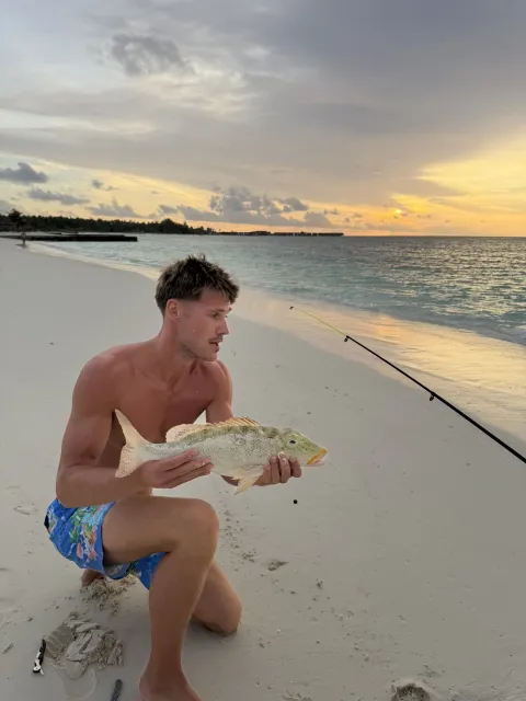 Lippfisch