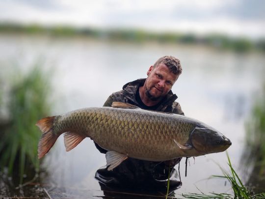 Graskarpfen