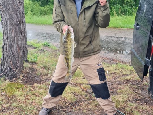 Zander