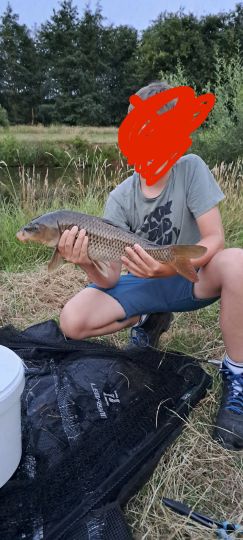 Karpfen