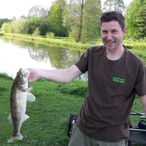 Zander
