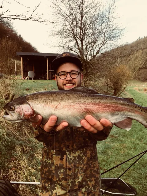 Regenbogenforelle