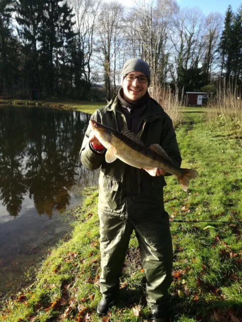 Zander
