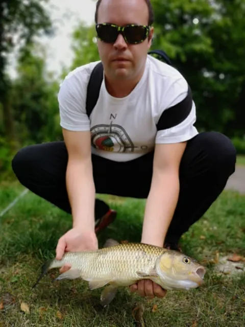 Döbel