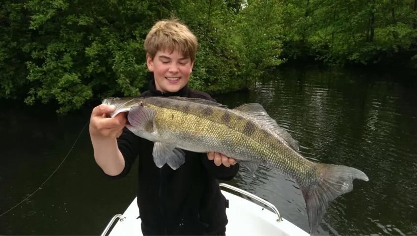 Zander