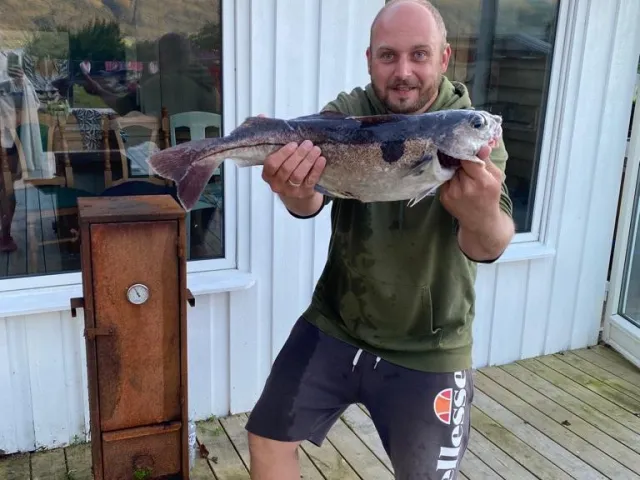 Schellfisch