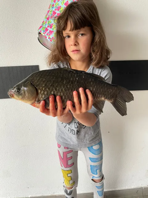 Giebel