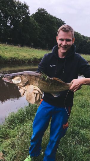 Zander