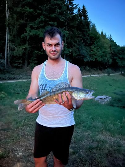 Zander