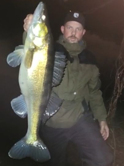 Zander