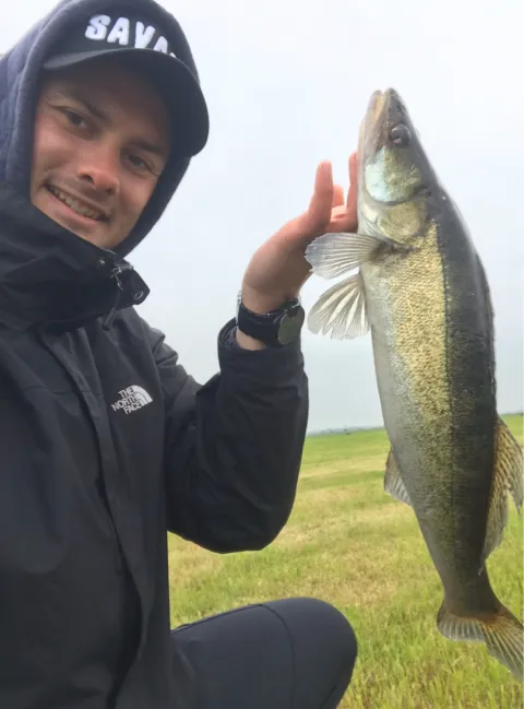 Zander