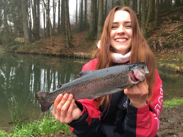 Regenbogenforelle