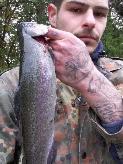 Regenbogenforelle