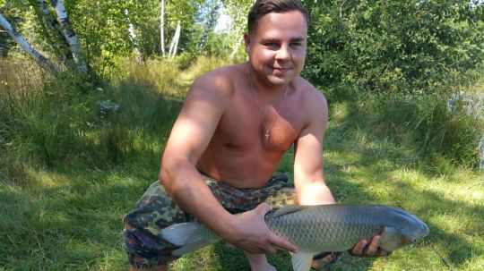 Graskarpfen