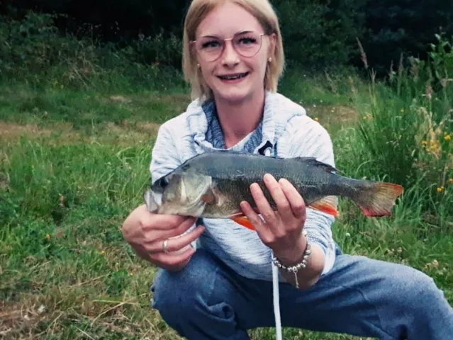 Flussbarsch