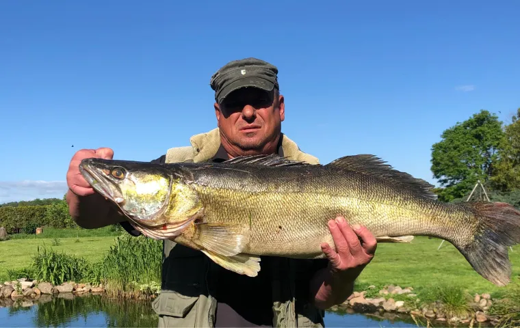 Zander