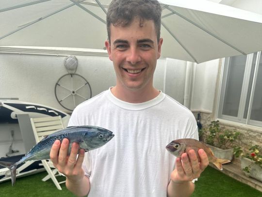 Bonito