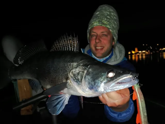 Zander
