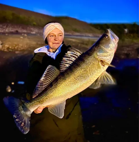 Zander