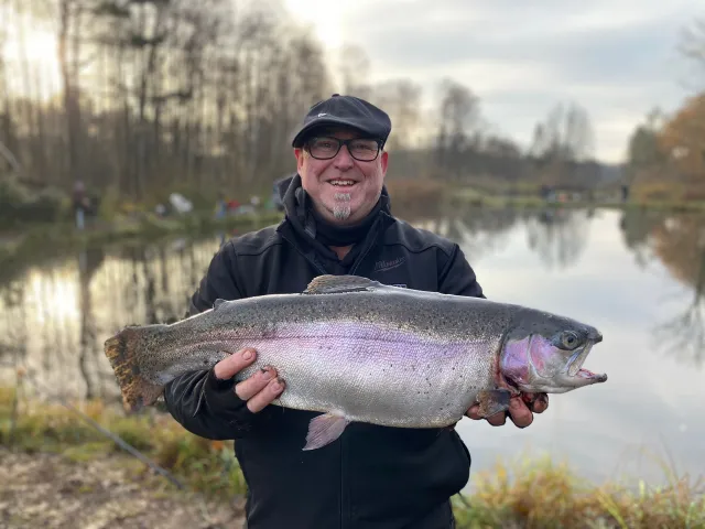 Regenbogenforelle