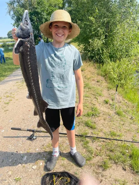 Stör