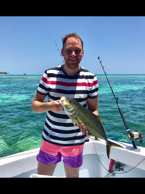 Lippfisch
