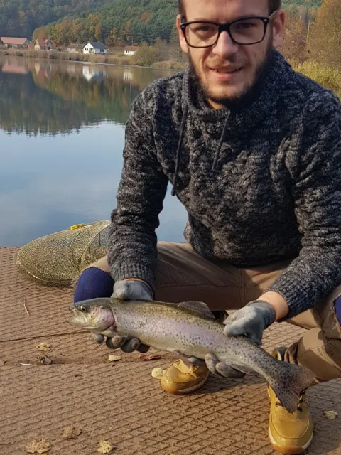 Regenbogenforelle