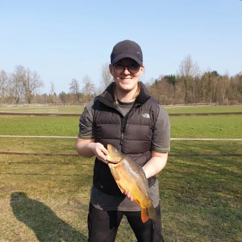 Karpfen