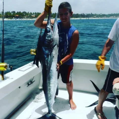 Marlin