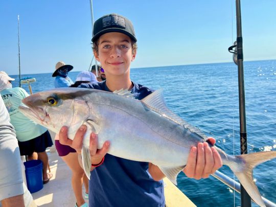 Amberjack