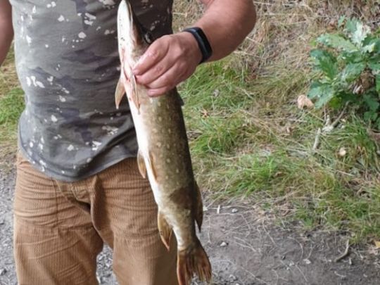 Froschteich (Kleiner Horkaer Teich) ALLE ANGELN