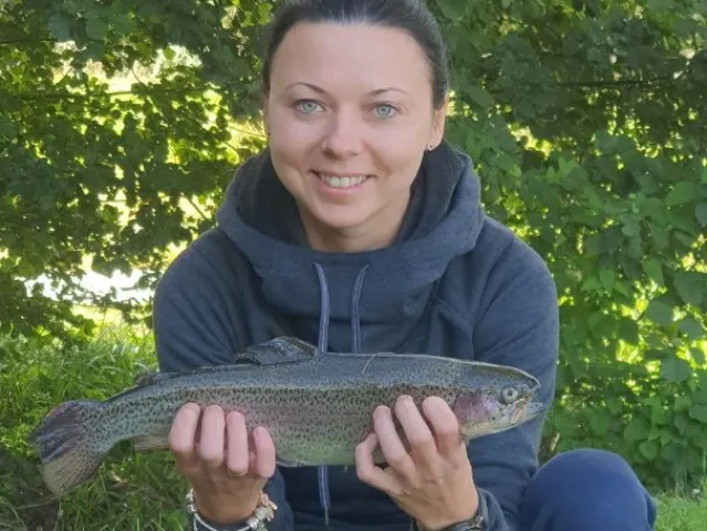 Regenbogenforelle