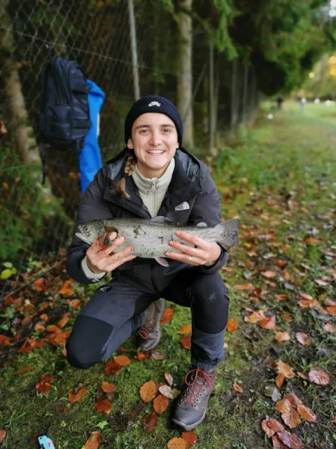 Regenbogenforelle