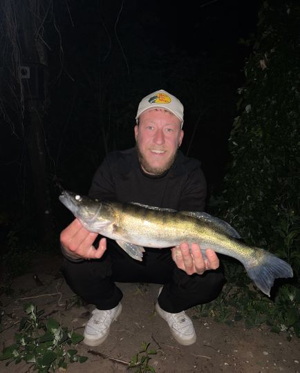 Zander