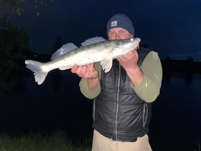 Zander