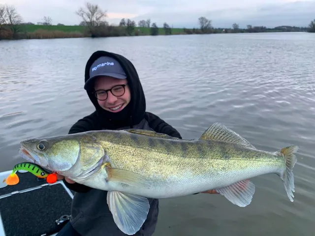 Zander