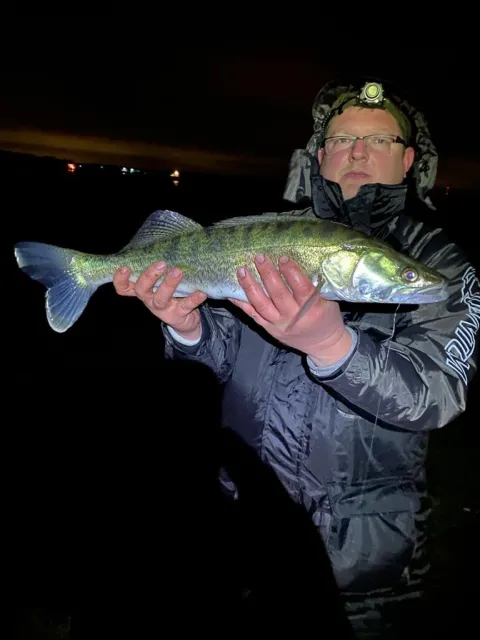 Zander