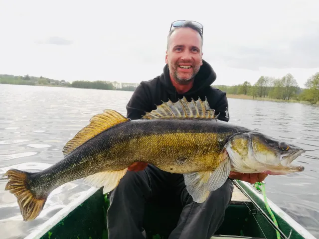 Zander