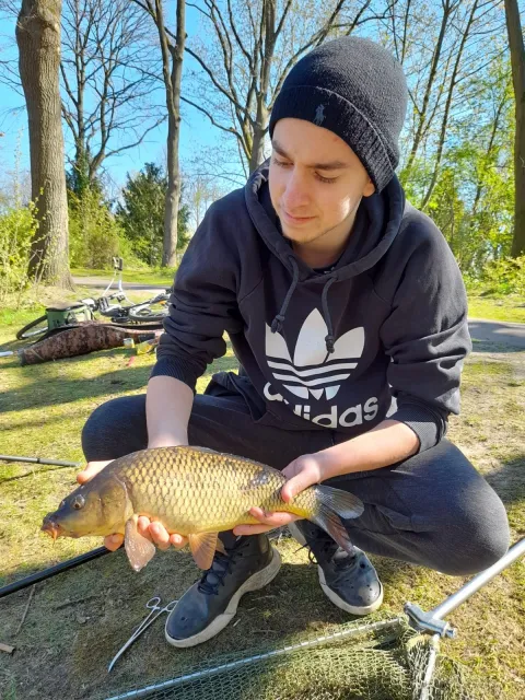 Karpfen