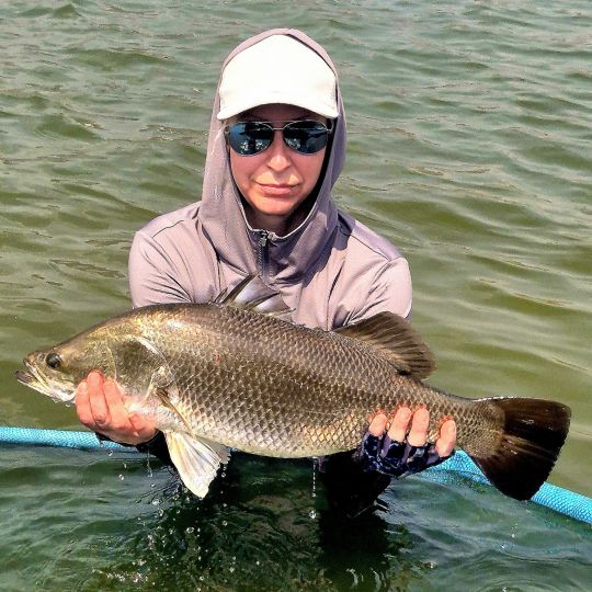 Barramundi