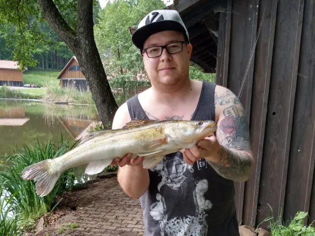 Zander