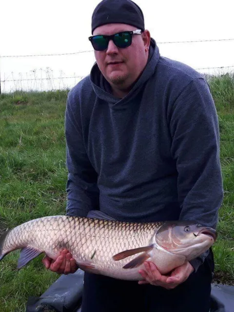 Graskarpfen