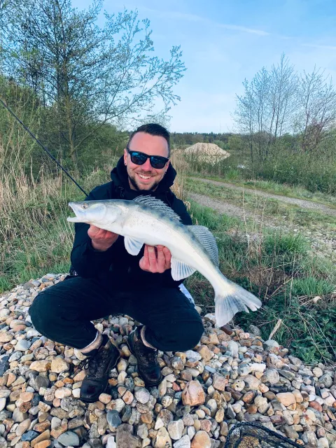 Zander