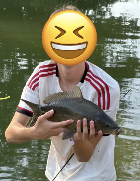 Karpfen